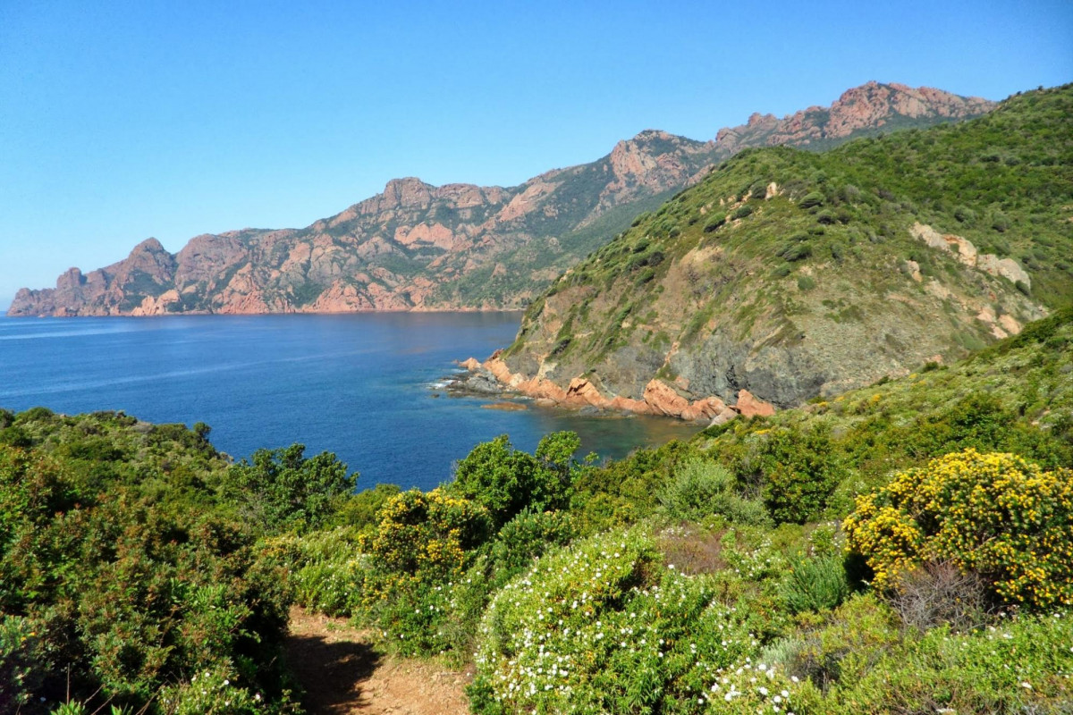 3465340914-2000xautox75-41830-42553 3465340914-2000xautox75-41830-42553