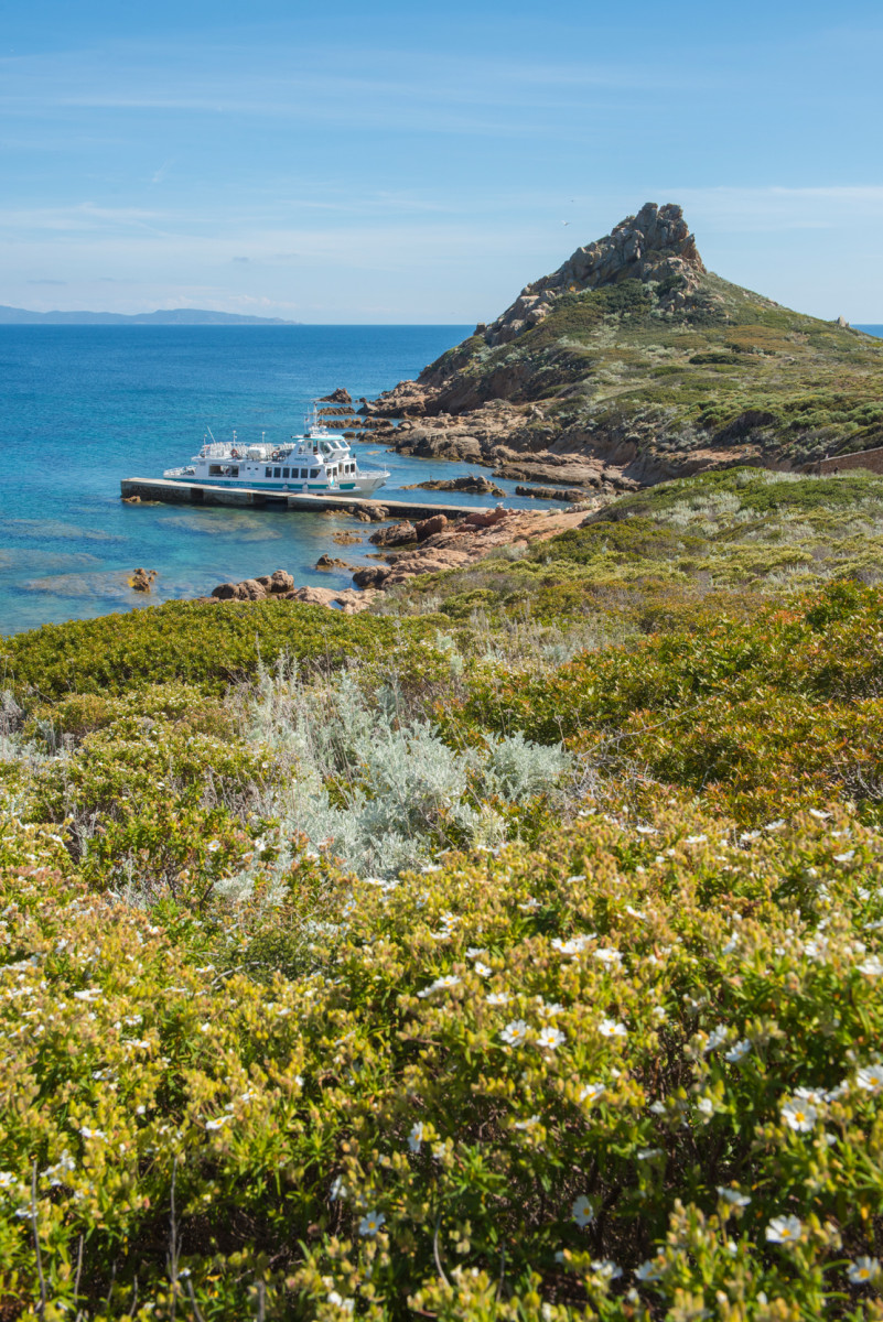 natura-sanguinaires-jcattard-18-41917-42469