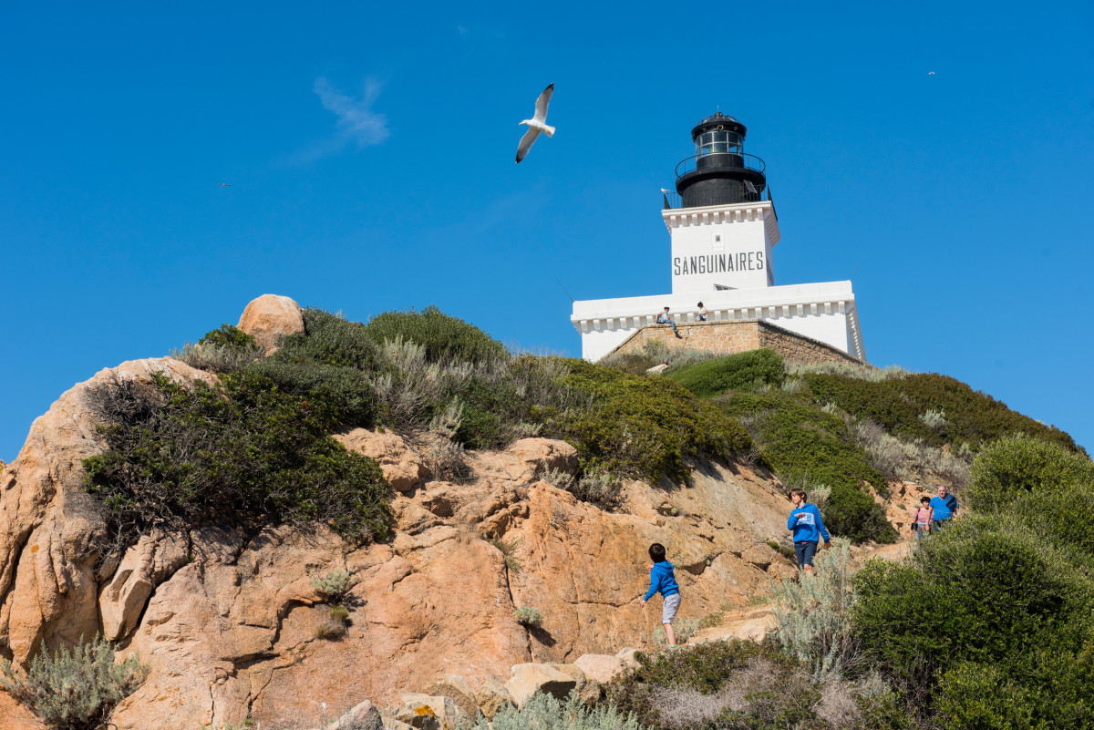 natura-sanguinaires-jcattard-31-41919-42471